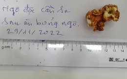 Ăn bỏng ngô nghi có tẩm cần sa, một phụ nữ bị ngộ độc phải nhập viện
