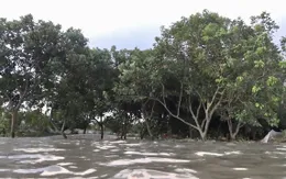 Vĩnh Long: Tích cực hỗ trợ người dân mất nhà do sạt lở