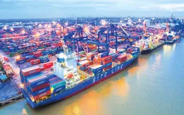 Xuất nhập khẩu tăng mạnh trong ngày đầu năm mới