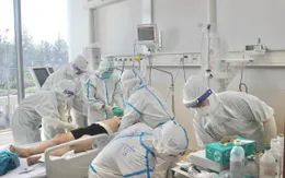 Cuộc sống hồi sinh trong tận cùng khó khăn của dịch bệnh