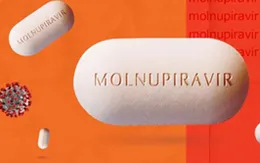 Chính thức: Giá thuốc Molnupiravir do Việt Nam sản xuất thấp nhất là 8.675 đồng/viên