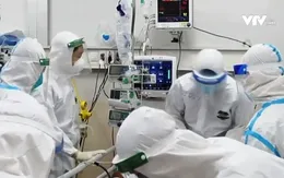 Cảm phục nỗ lực và sự bền bỉ của các y, bác sĩ trong đại dịch