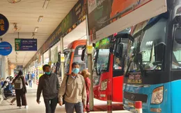 Lượng khách các tuyến vận tải cố định giảm đến 60% dịp Tết