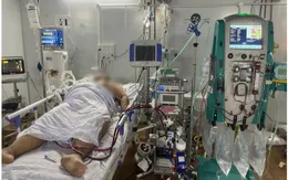 84 ngày can thiệp ECMO cứu bệnh nhân COVID-19 nguy kịch