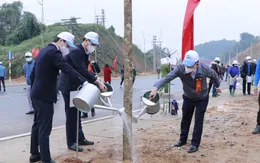 Nhiều địa phương hưởng ứng Tết trồng cây