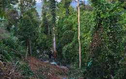 Xe chở mì lao xuống vực, 6 người chết, 3 người bị thương