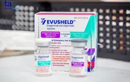 Kháng thể đơn dòng Evusheld dự phòng COVID-19 được cấp phép tại Việt Nam