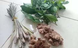 Không lạm dụng xông hơi phòng COVID-19