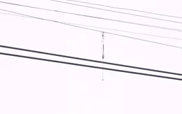Gia tăng trường hợp bỏng nặng do câu cá dưới đường điện