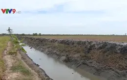 Sóc Trăng khẩn trương nạo vét thủy lợi nội đồng