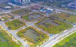 Bỏ cọc đấu giá đất: Cần xem xét xử lý hình sự nếu có âm mưu lũng đoạn thị trường