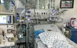 Cứu sống bé 10 tháng tuổi mắc hội chứng tán huyết urê