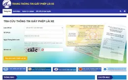 Cần xử lý trang thông tin giấy phép lái xe giả