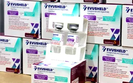 Kháng thể đơn dòng Evusheld dự phòng COVID-19 đã về Việt Nam