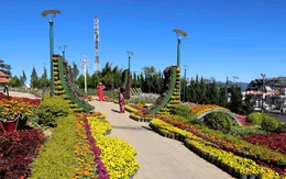 Đà Lạt lọt top 3 điểm đến để ngắm hoa trên thế giới
