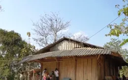 Cặp lá yêu thương: Ngôi nhà có 12 bông hoa