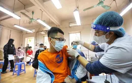 Hà Nội: Nhiều trường học lấy ý kiến về việc tiêm vaccine cho trẻ từ 5-11 tuổi