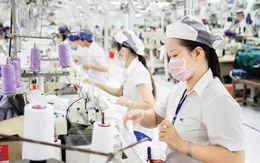 Doanh nghiệp Ấn Độ: Việt Nam là thị trường tiềm năng để phát triển