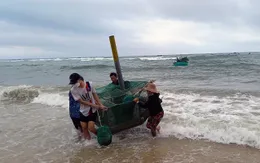 Phú Yên thiệt hại nặng do mưa to, gió lớn