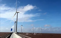 Bộ Công Thương yêu cầu rà soát các dự án điện mặt trời, điện gió, thuỷ điện