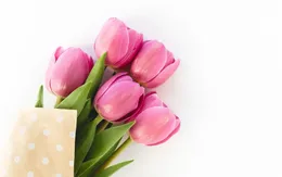 6 loại hoa phù hợp để tặng trong ngày Quốc tế Phụ nữ 8/3