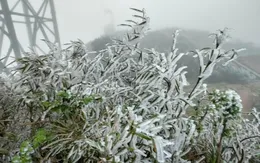 Fansipan xuất hiện băng giá giữa mùa xuân