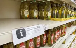 Thế giới nguy cơ thiếu dầu ăn