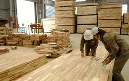 Hoa Kỳ gia hạn kết luận cuối cùng về phòng vệ thương mại với gỗ dán cứng