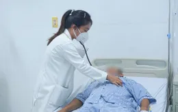 Cảnh báo nguy cơ rắn lục đuôi đỏ cắn người vào mùa mưa