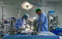 Kích hoạt báo động đỏ cấp cứu bệnh nhân hẹp khít van động mạch chủ, biến chứng ngất nhiều lần