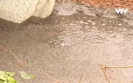 Trại chăn nuôi gây ô nhiễm suốt thời gian dài