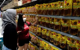 Tác động tiêu cực từ việc Indonesia dừng xuất khẩu dầu cọ