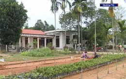 Ngắm màu xanh bao phủ trên vùng đất ô nhiễm bom mìn