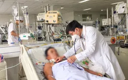 Nhập viện nguy kịch do bị ong vò vẽ đốt hơn 100 vết