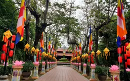 Cố đô Huế rực rỡ cờ hoa trong Đại lễ Phật đản