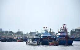 Nhiều tàu cá tại Kiên Giang cam kết không đánh bắt trái phép