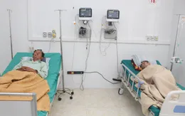 Cảnh báo ngộ độc rượu ngâm củ ấu tàu