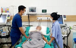Tổn thương não, hôn mê do uống rượu ngâm rễ cây rừng để chữa bệnh xương khớp