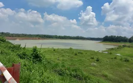 Bà Rịa -Vũng Tàu:  Anh trai cứu em đuối nước, cả hai thiệt mạng