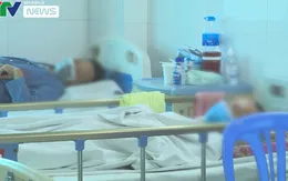 Hà Nội phân tuyến quản lý điều trị người bệnh sốt xuất huyết Dengue