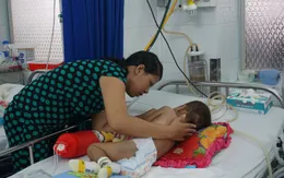 Số trẻ mắc tay chân miệng tại TP Hồ Chí Minh tăng hơn 80%