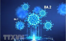 Mỹ lo ngại biến thể phụ mới dễ lây lan của Omicron