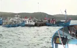 Nhiều tàu cá cố tình tắt thiết bị giám sát hành trình