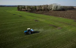 Nguy cơ xảy ra nạn đói tồi tệ do giá lương thực tăng cao