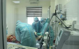 Điều trị thành công ca bệnh hiếm gặp: Tổn thương đa cơ quan do nhiễm xoắn khuẩn Leptospira, mắc COVID-19 nặng trên bệnh nền Thalassemia