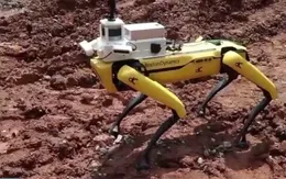 Singapore sử dụng robot thế chân người lao động