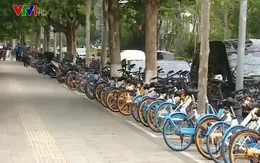 Sống xanh tại chỗ ở các địa phương Trung Quốc