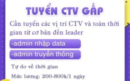 Cảnh giác với bẫy việc nhẹ lương cao