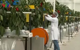 Trung Quốc kêu gọi doanh nghiệp, người tài hướng về nông thôn