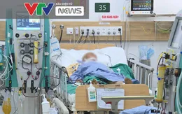 Cảnh báo nguy cơ ngộ độc bánh trôi ngô